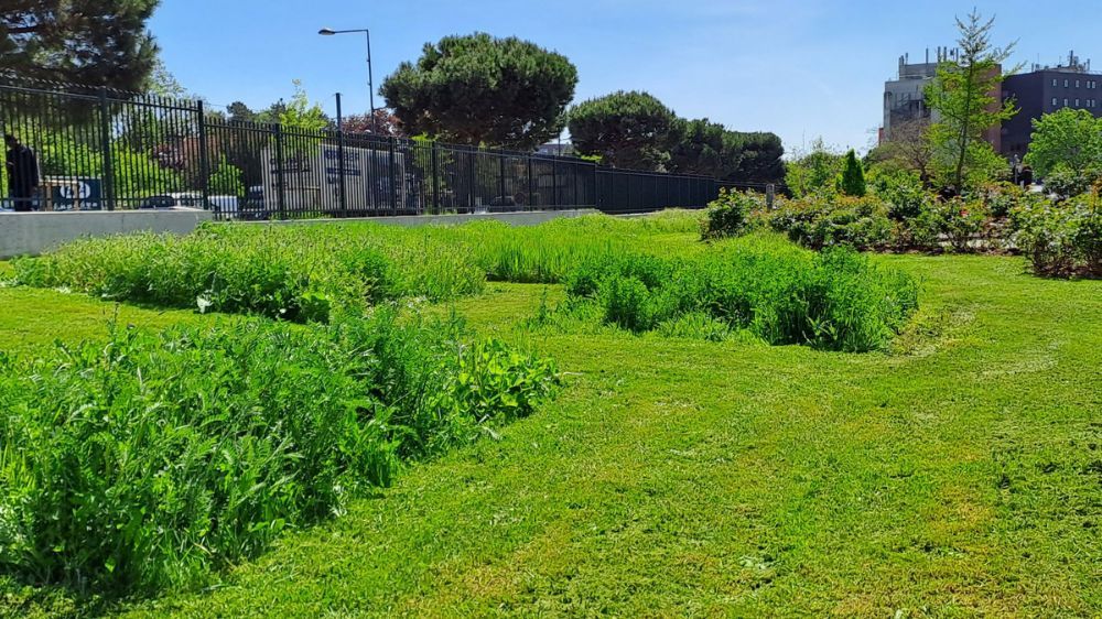 Entretien d'espaces verts Serpe Narbonne.jpg